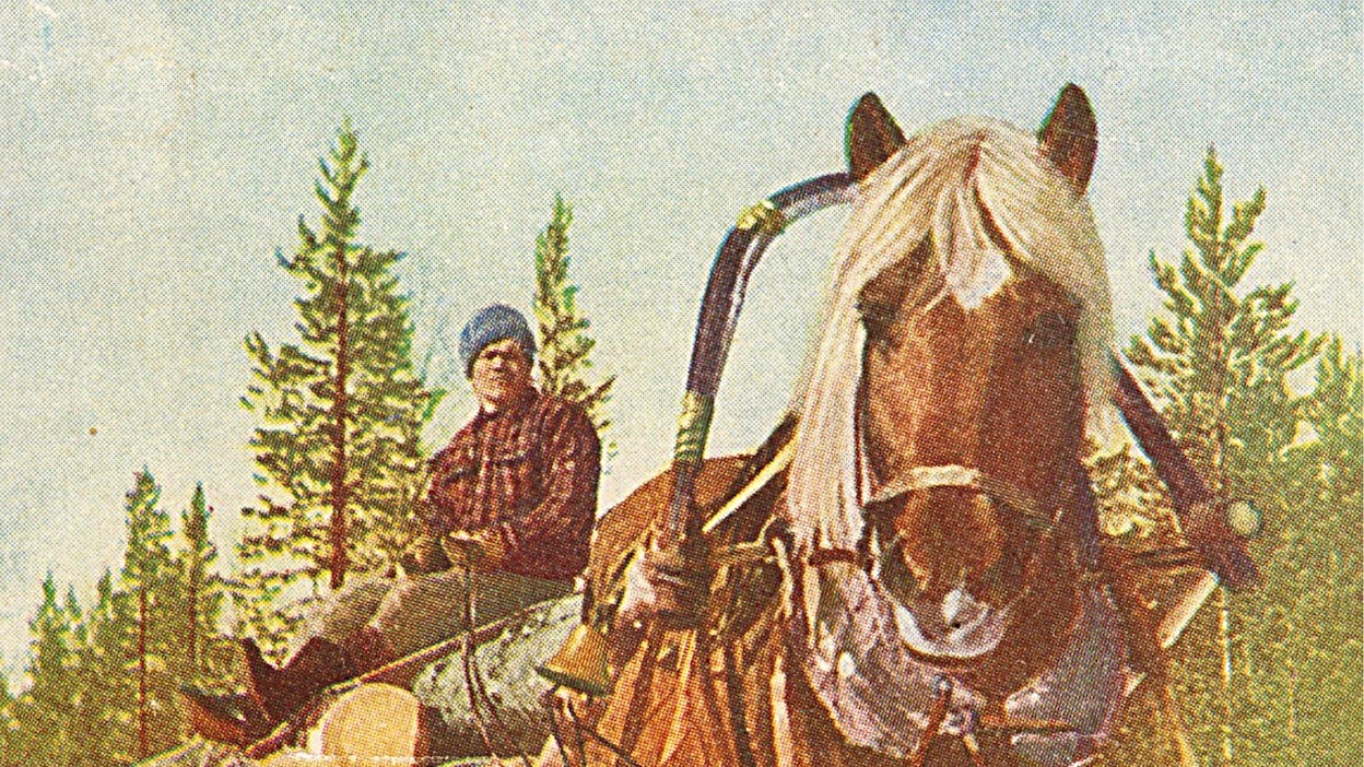Suomessa oli 1950-luvun alussa vajaat 350 000 työikäistä hevosta, sekä 6 766 rautapyöräistä ja 7 316 kumipyöräistä traktoria. Yhtä hevosta kohti oli peltoa 6,9 hehtaaria, yhden traktorin kontolla oli 170 hehtaaria, eli maatalous oli vielä vahvasti hevosvetoinen. Metsäajot tehtiin kokonaan hevosilla, traktoreiden soveltuvuutta metsätöihin alettiin vasta kokeilla. 