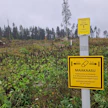 Gasgridillä on ennestään maakaasuputkistoa. Tuleva vetyputki kulkee Torniosta etelärannikolle.