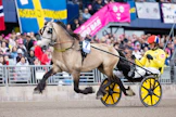 Brenne Borken juoksi elokuussa kylmäveristen maailmanennätyksen lukemin 17,7a. Kuva Solvallan Elitkampenista, jossa ori oli kolmas.