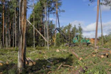 Kostamuksessa Venäjällä hakattiin puuta vuonna 2016.