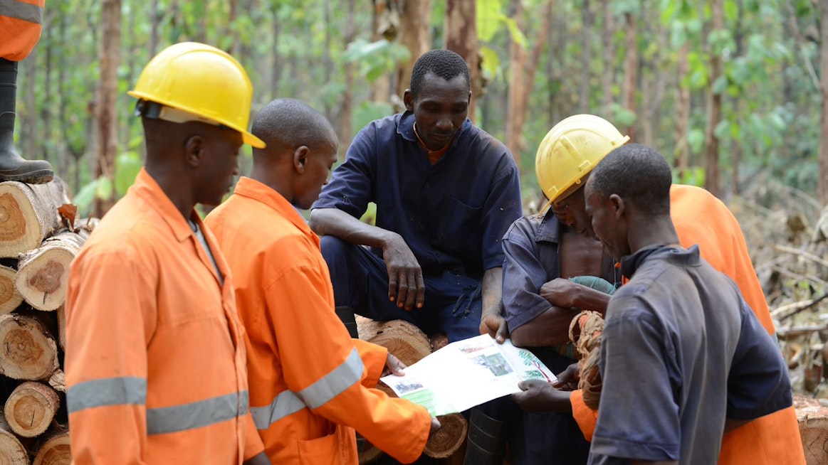 Monessa Itä-Afrikassa toimivassa yhtiössä ollaan jo siirymässä puiden istuttamisvaiheesta tuotannon muuhun kehittämiseen.