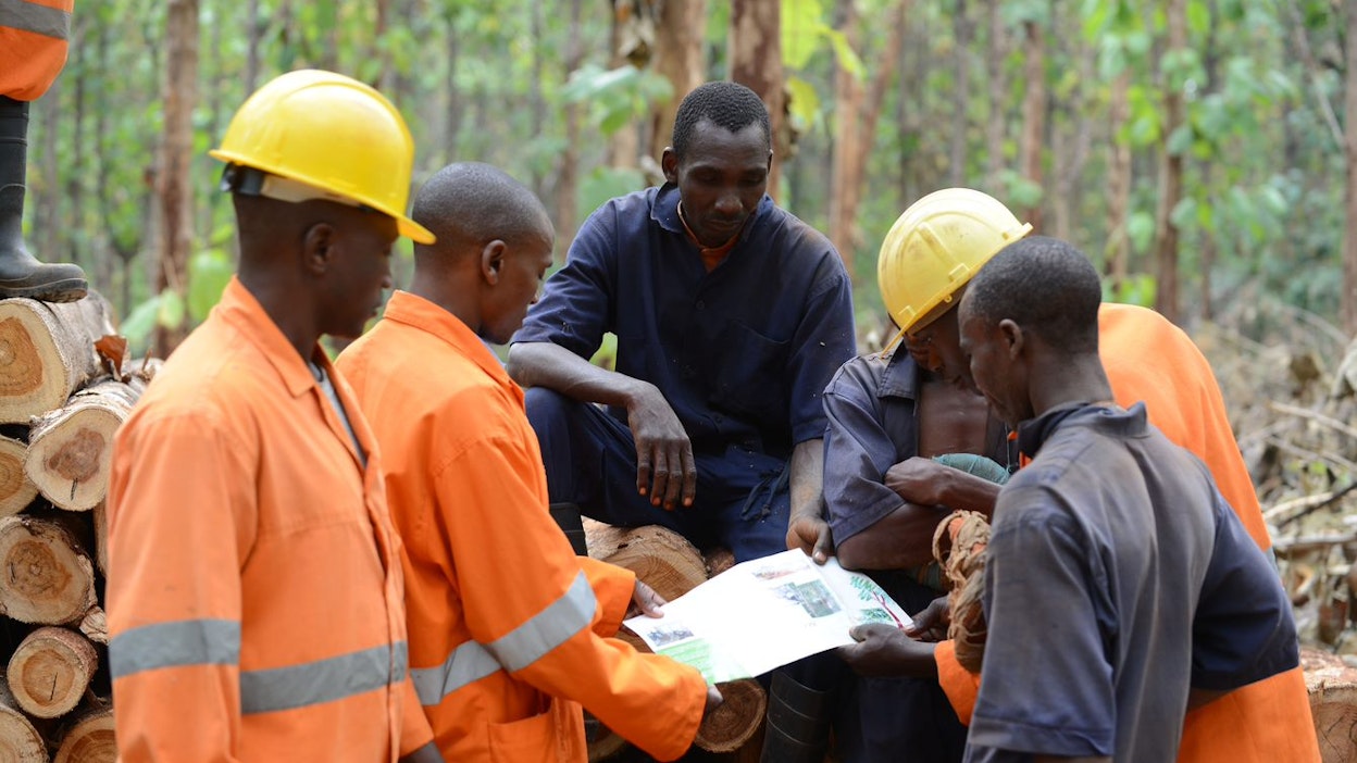 Monessa Itä-Afrikassa toimivassa yhtiössä ollaan jo siirymässä puiden istuttamisvaiheesta tuotannon muuhun kehittämiseen.