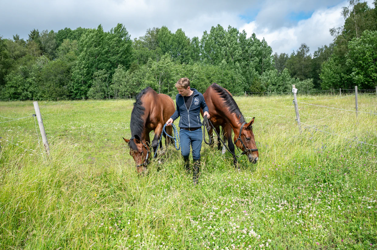 Riskit pyritään minimoimaan, ja Ville Vaurio kiinnittää paljon huomiota siihen, miten hän laittaa hevosen tarhaan tai laitumelle esimerkiksi uudessa paikassa tai kesän alussa.
