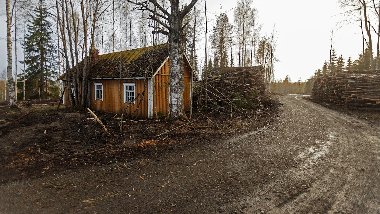 Autioituva ja keskittyvä Suomi on sekin valintojen tulos. Jos tämä linja valitaan, tulee myös vastuu kantaa, kirjoittaa Tytti Määttä.