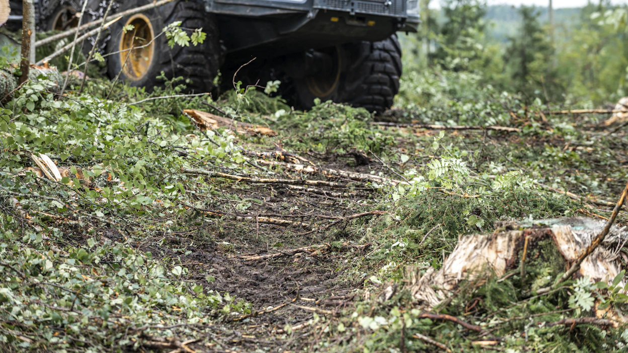 Liperissä metsäkoneen polttoainetankin alta alkoi tulla savua tiistaina. Kuvan kone ei liity tapaukseen.