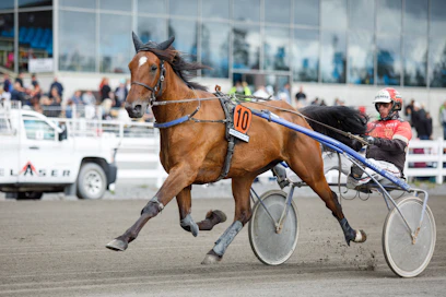 All Star Mint voitti Mikkelissä St Michel -viikonloppuna. Tiistaina valjakolla on hyvä mahdollisuus toistaa tuo temppu uudelleen.