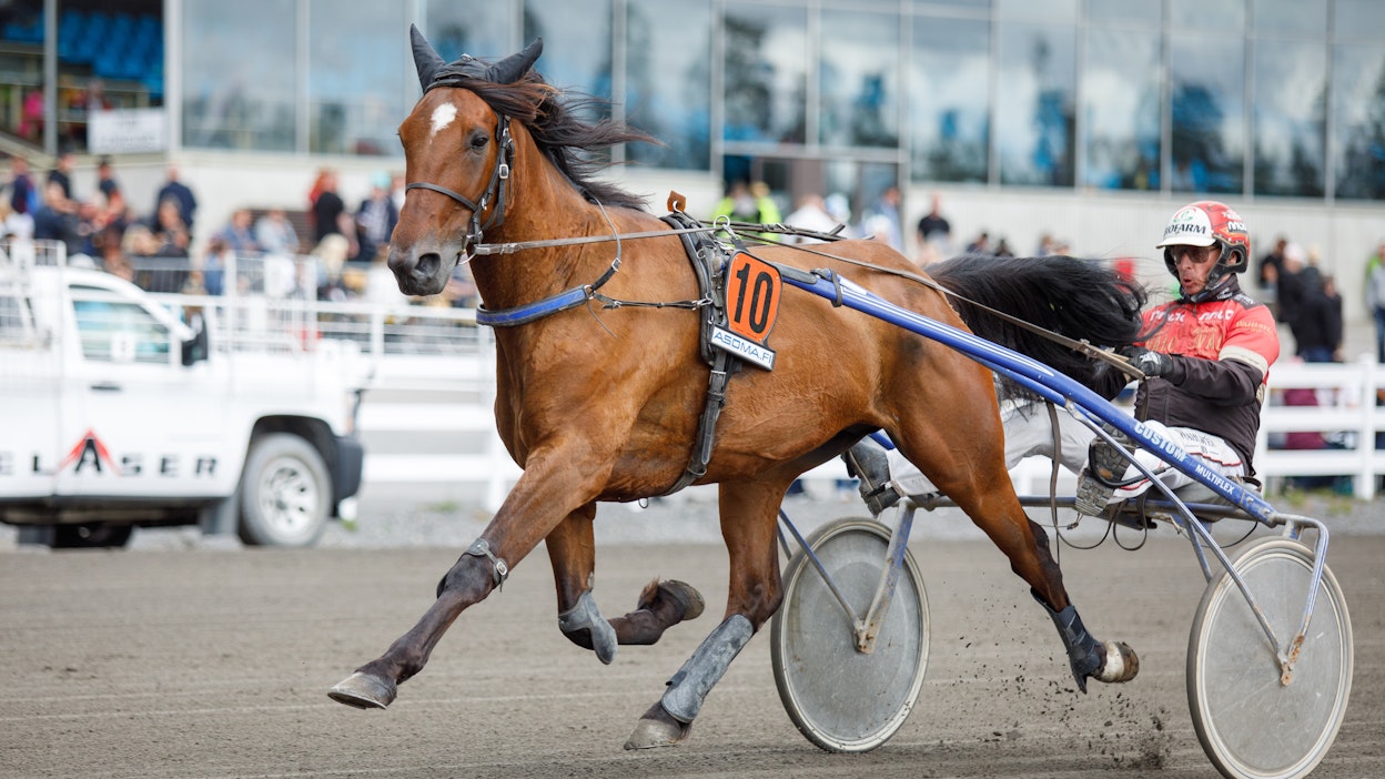 All Star Mint voitti Mikkelissä St Michel -viikonloppuna. Tiistaina valjakolla on hyvä mahdollisuus toistaa tuo temppu uudelleen.