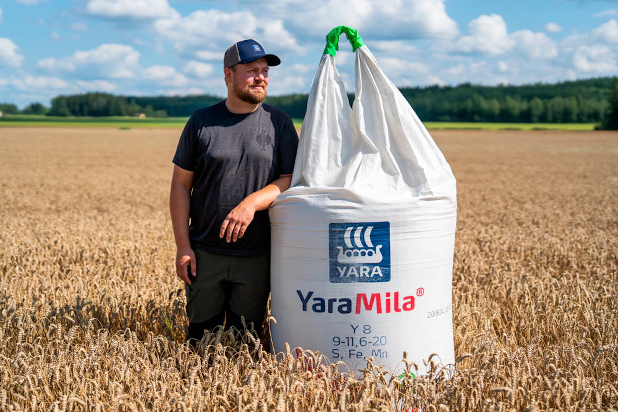 Tuomas Nummela Kärkölästä luottaa syysviljojen lannoituksessa korkeafosforiseen YaraMila Y 8 -lannoitteeseen.