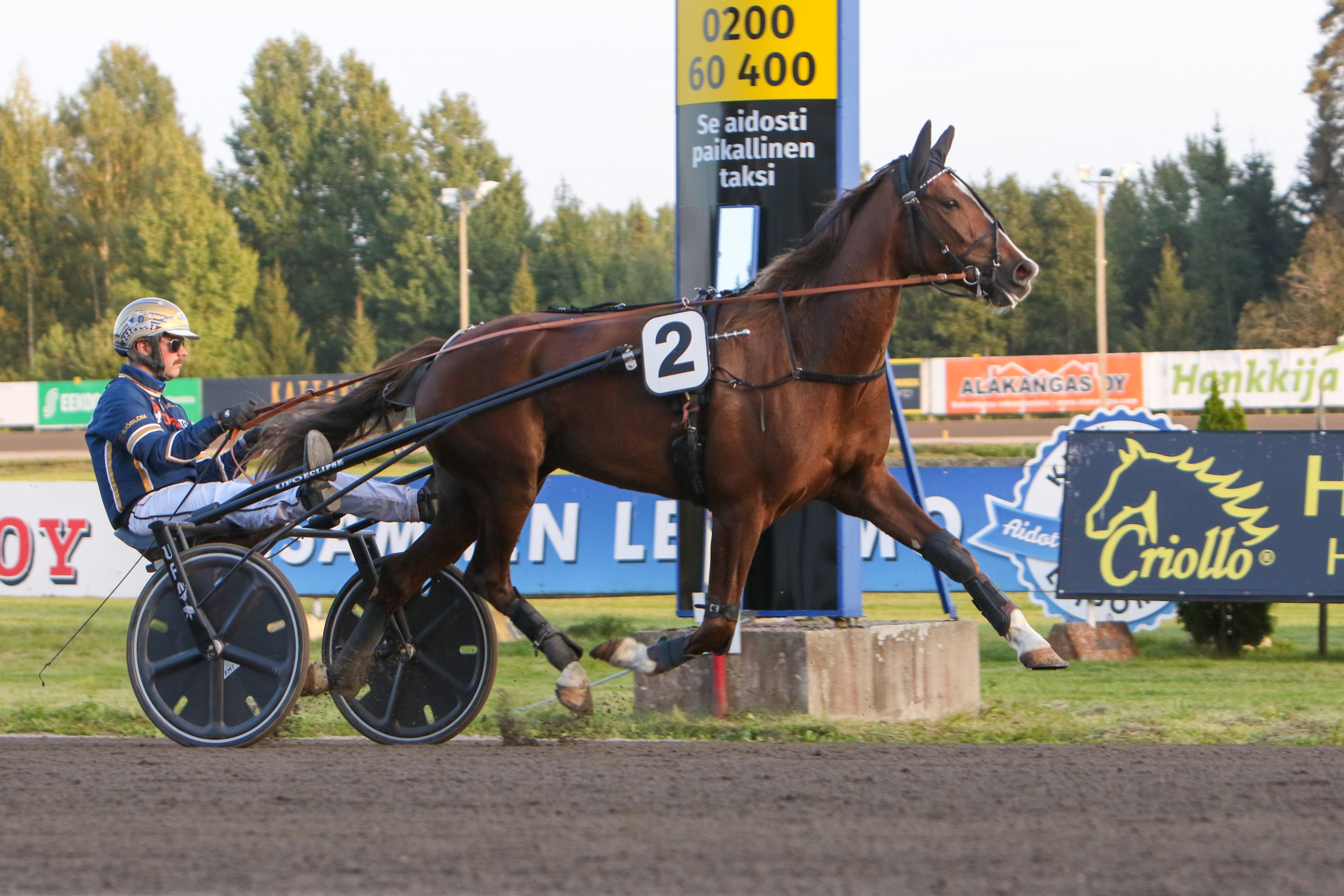 Tino Paldanin ohjastama Artful Grace on vihjerivin varma.