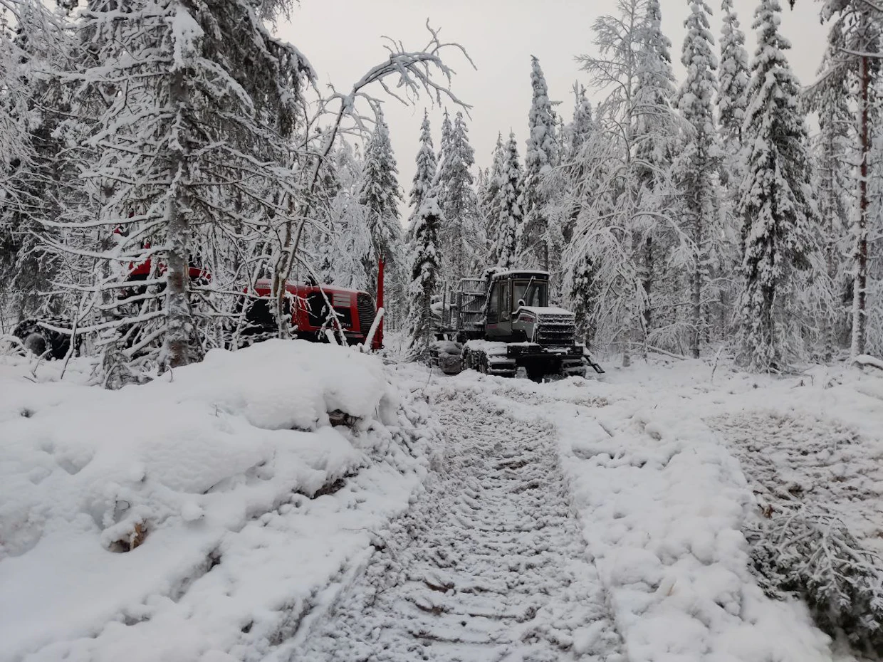 Metsähallituksen mukaan nyt on ollut talviteiden rakentamiselle erinomaiset olosuhteet, joten puunkorjuu sujuisi helposti.