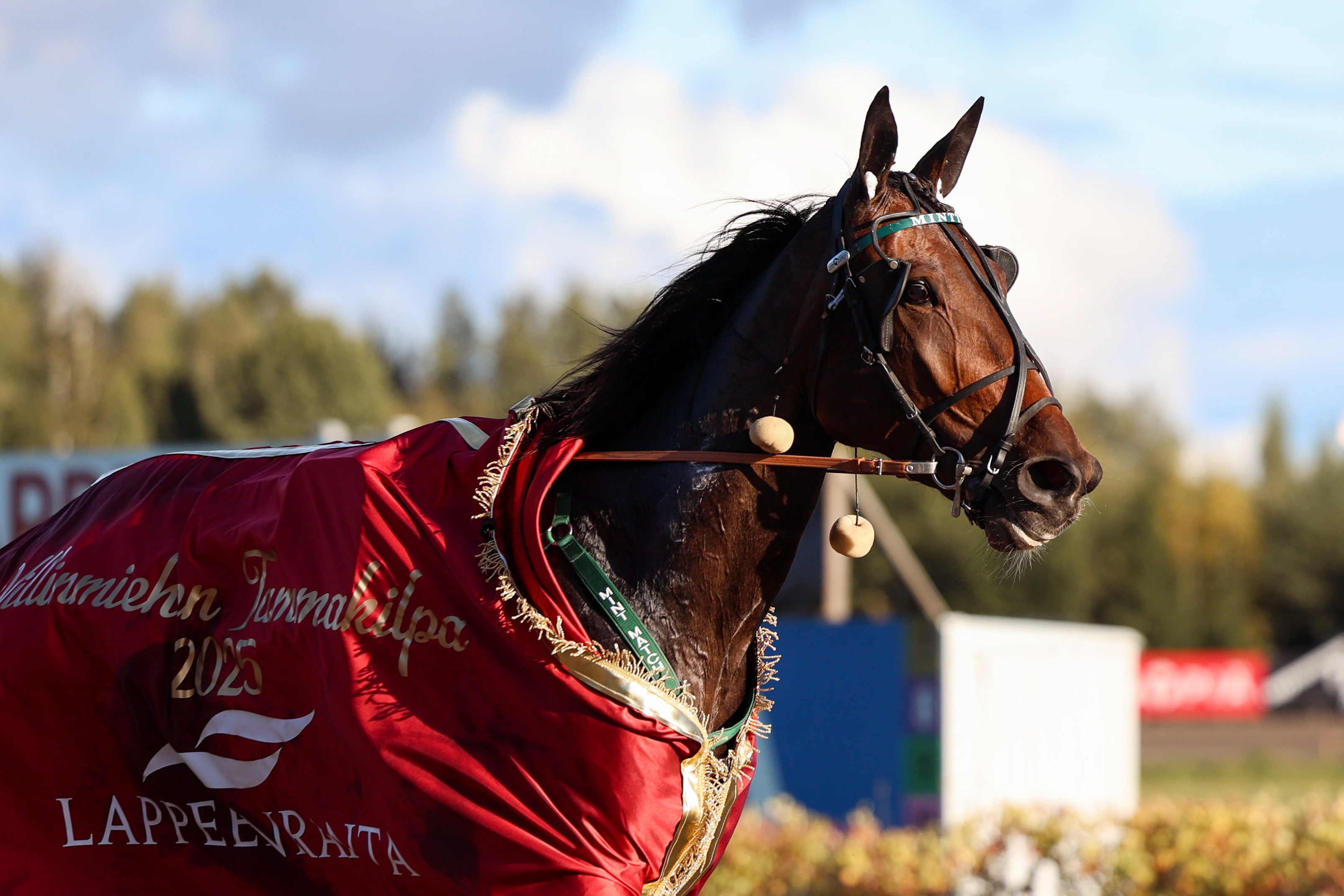 Mint Match Villinmiehen Tammakilvan voittoloimi yllään.