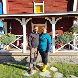 Mari ja Sami Alanko tuottavat kalkkunoita Kurikassa.