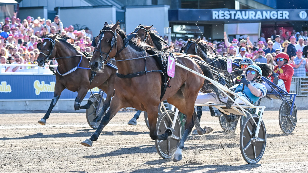 Allegiant juoksi Elitloppetissa maailmanennätysajan 07,1a. Örjan Kihlström ajaa Daniel Redénin tähtitammaa.