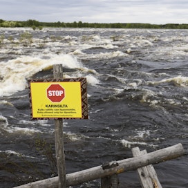 Tornionjoki tulvii nyt pahiten 55 vuoteen. Kuva tornionjoen Kukkolankoskelta viime vuodelta kevättulvien jälkeen.