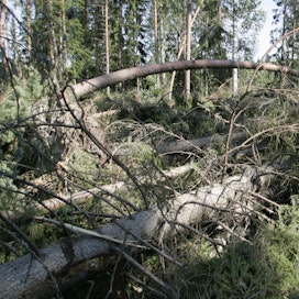 Suurimmat vahingot heinäkuun myrskyt aiheuttivat Sloveniassa maan pohjois- ja koillisosissa. Kuvituskuva.