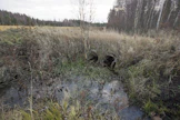 Valtaoja käyttöikänsä päässä. Kuvituskuva.