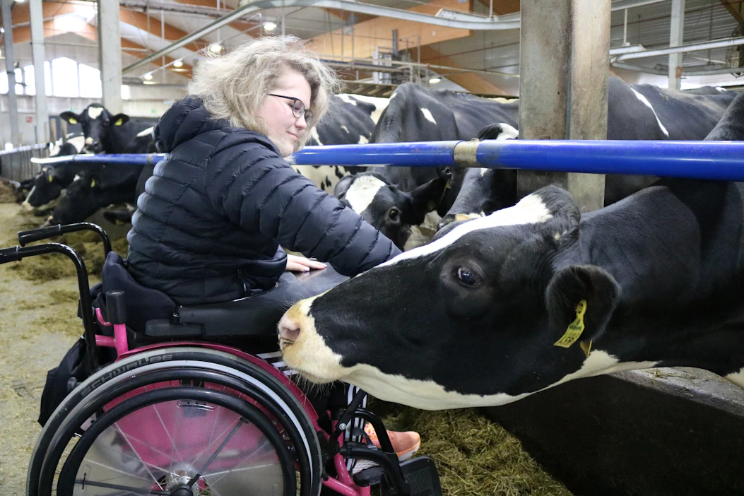 Ennen onnettomuutta Veera suunnitteli yhdessä Ilmarinsa kanssa tilanpidon jatkamista.Niiltä osin unelmat murenivat, mutta Veera elää edelleen maalla ja maaseudusta.
