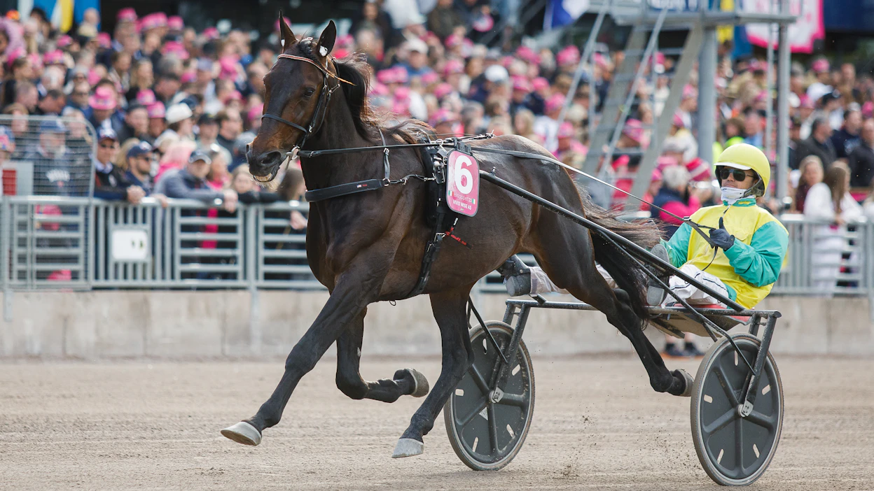 Matthieu Abrivardin ohjastama Vivid Wise As hallitsi Yonkers International Trotia keulapaikalta. Valjakon arkistokuva Elitloppetista.