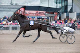 Markus Forss lämmittämässä Elitloppet-viikonlopun Joli Mearasia.
