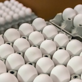 Kananmunien kulutus on lähtenyt nousuun viime kuukausina, kertoo Kantar Agri.