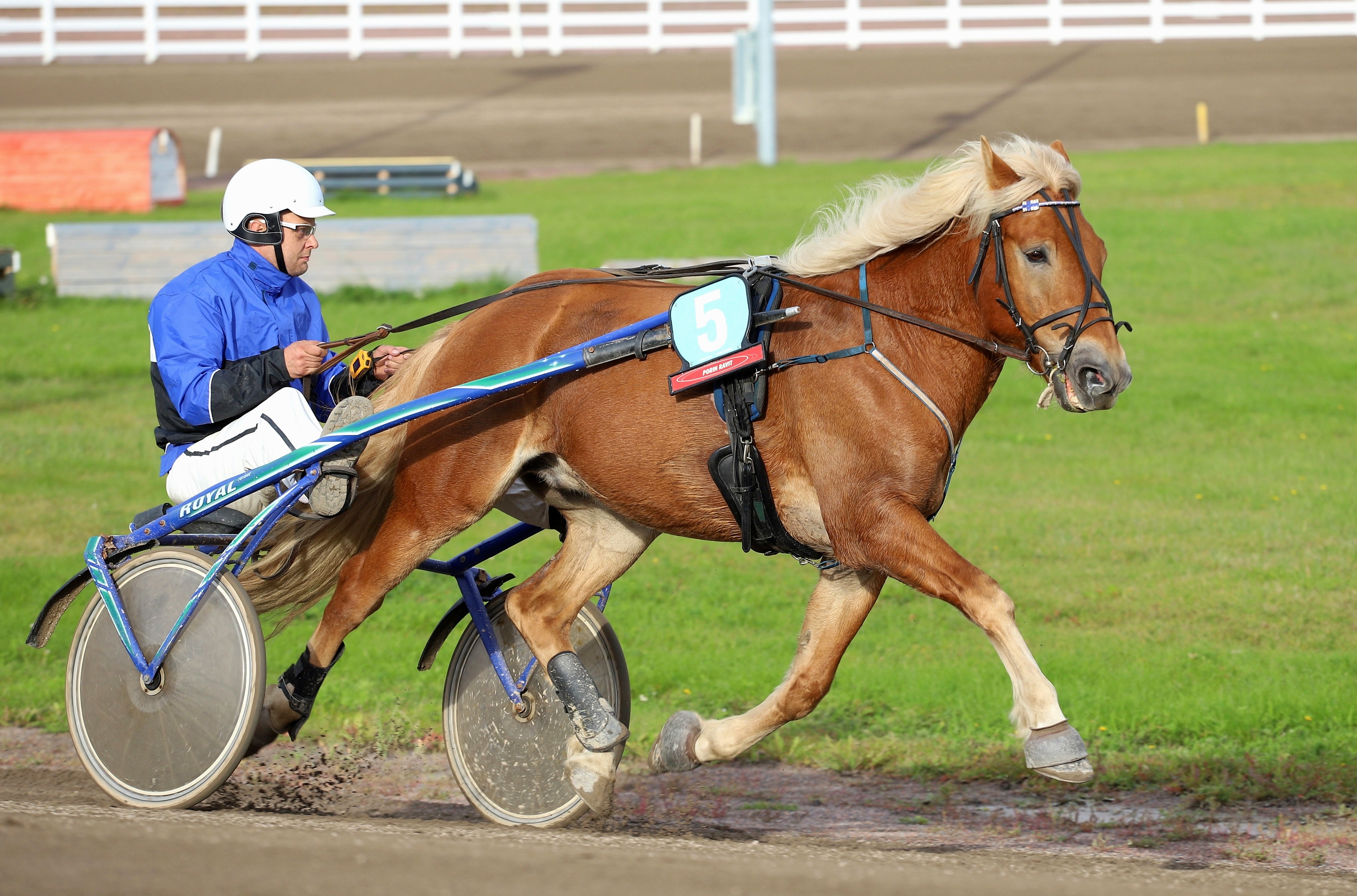 Voima-Simo ja Henri Tapala ovat tuttu parivaljakko läntisen Suomen raviradoilta. Kuva syksyltä 2022.