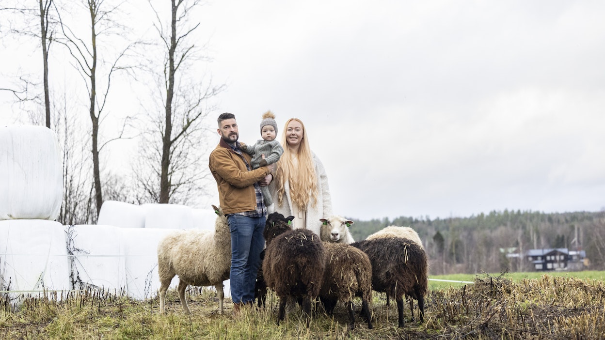 Tänä syksynä avioituneet Topias, 36, ja Jutta Orsama, 29, sekä pariskunnan Urho-vauva asuvat Oriveden Pitkäjärven kylässä.