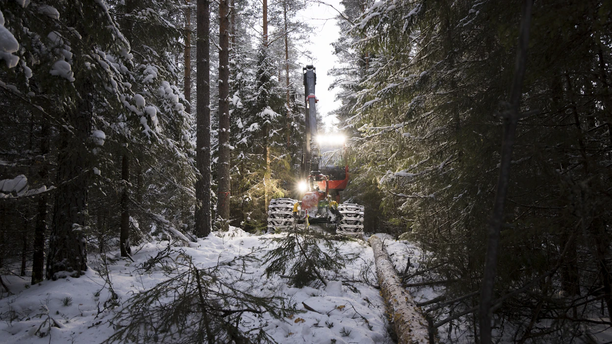 Lähimetsän säilyminen on tärkeää 96 prosentille suomalaisista. Oulun Sanginjoella kaadettiin vuosi sitten puita retkeilypolun levennyksen vuoksi.