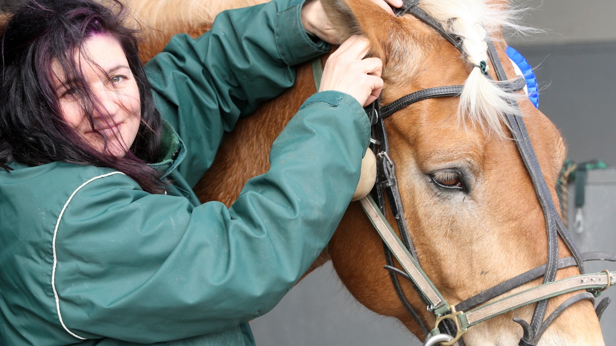 Sanna-Kaisa Liukkosen suku on omistanut Maisteri Jutilan suvun hevosia jo 60 vuoden ajan.