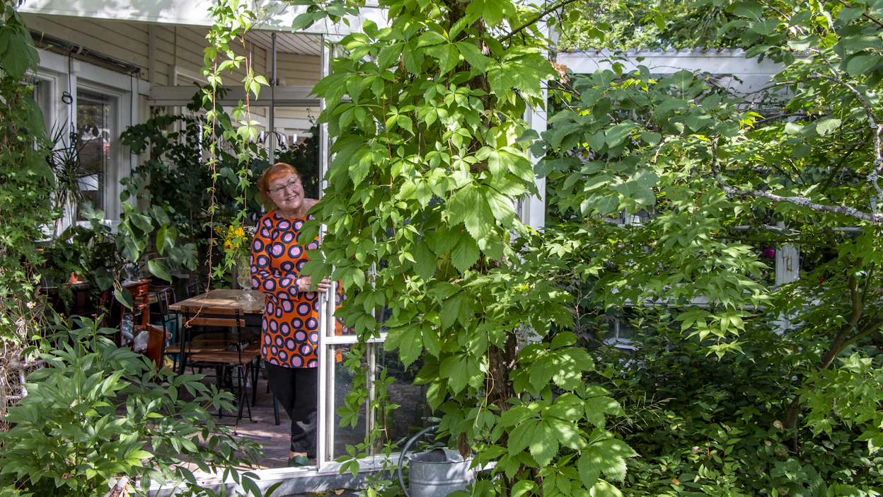 Talon jatkeena oleva vehreyden ympäröimä viherhuone on ollut Paula Ritanen-Närhille ja hänen perheelleen mieluisa paikka.