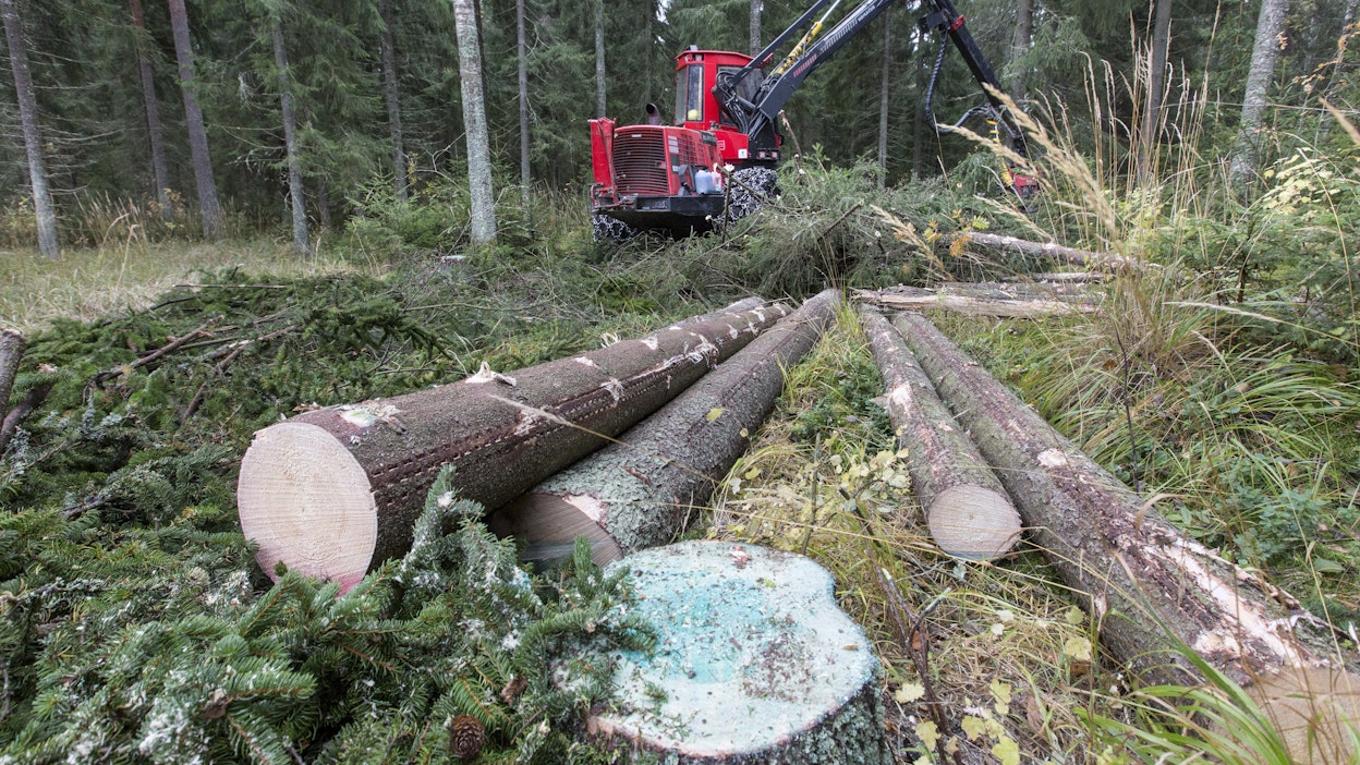 Suomessa juurikäävän torjuntaan metsissä käytetty urea on komissio laskelmissa osa maatalouden torjunta-aineita.