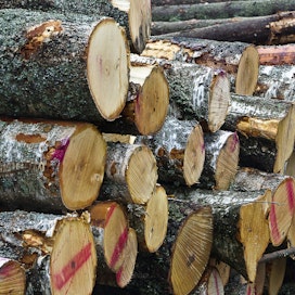 Etenkin metsänhoitoyhdistysten välityspalvelua käyttäneet sekä Stora Ensolle, Metsä Groupille, itsenäisille sahoille ja paikallisille energiayhtiöille puuta myyneet metsänomistajat suunnittelevat puukauppoja myös jatkossa. 
