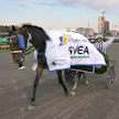 Alexandre Abrivardin Inexess Blue voitti UET Elite Racen vahvan esityksen jälkeen.
