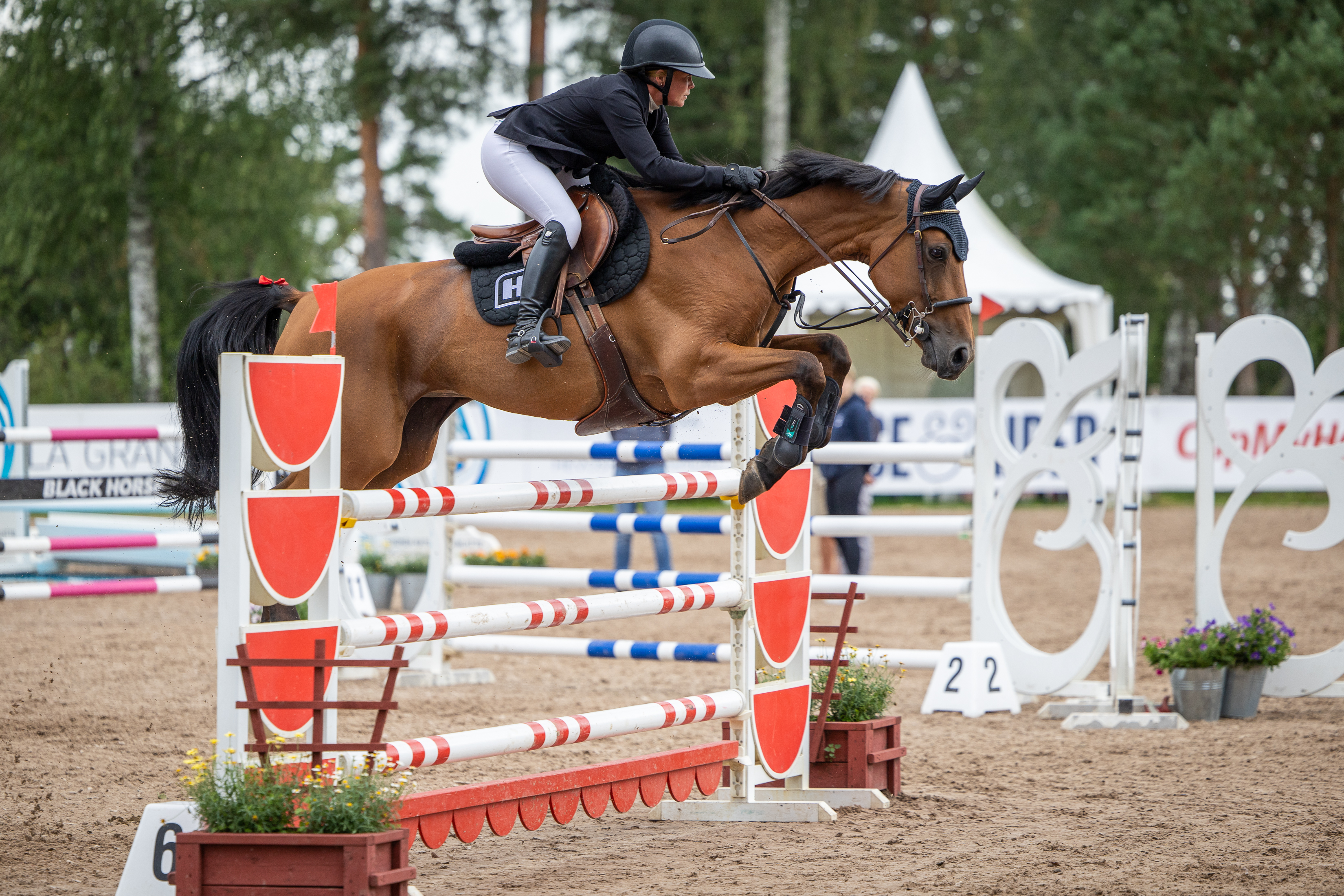 Petra Heikkinen tekee vasta tuttavuutta uuden ja nopean Lordin 3:n kanssa. Suomessa ratsukko on kilpaillut muutamaan kertaan ja ehtinyt käymään Keski-Euroopassakin.