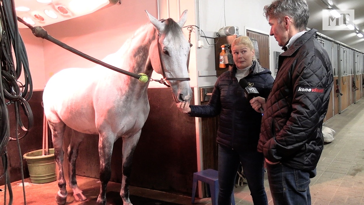 Sanna Backlund esittelee jaksossa Juha Jokiselle myös kilpahevosiaan. Kuvassa Jumper.