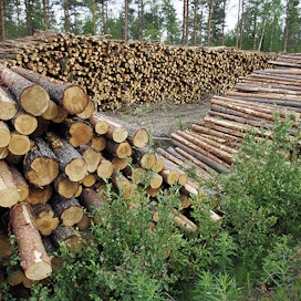 Vuoden 2022 pystykauppamäärä jää 14 prosenttia viimevuotista pienemmäksi. Viime vuoden puumarkkina oli poikkeuksellisen vilkas. Lisäksi viime vuonna kertyi pystyvarastoja, mikä on vähentänyt puun kysyntää kuluvana vuonna.