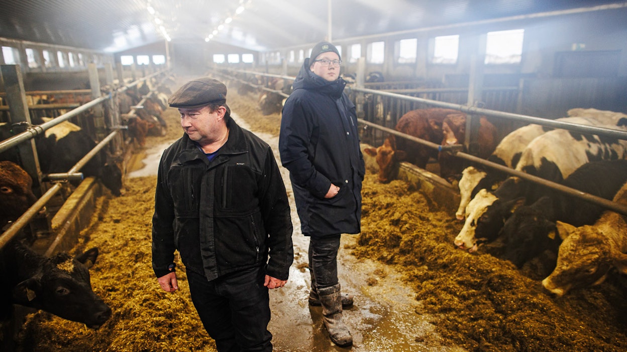 Jari ja Lauri Kajan isännöivät Majapellon lihakarjatilaa Kuopion Karttulassa.