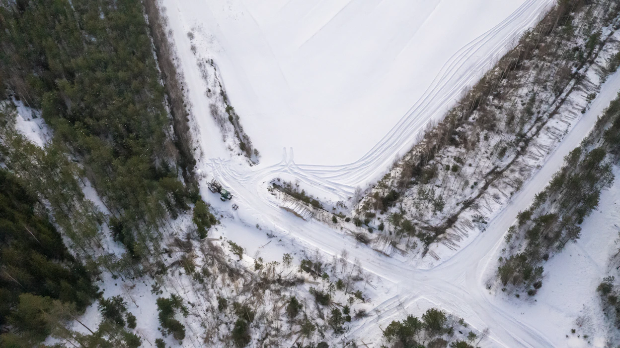 Puusto sitoo ilmakehän hiiltä biomassaansa kasvaessaan. Jos metsän kiertoaikaa pidennetään, olemassa oleva hiilivarasto jää metsään pidemmäksi ajaksi ja hiiltä sitoutuu puustoon kauemmin, sanoo tutkimusprofessori Jari Hynynen.