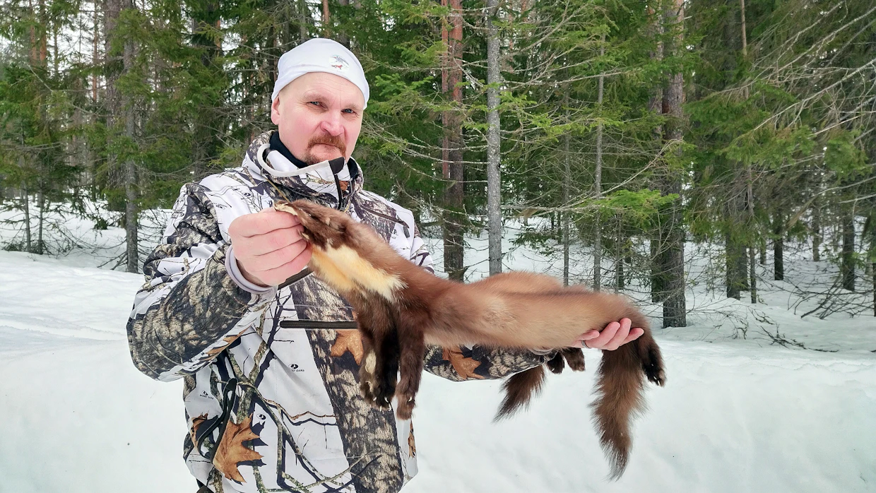 ”Näädästä tulee hyvä asustenahka, mutta sen rahallinen arvo on vähäinen. Metsästän näätää riistanhoidollisista syistä”, Taisto Koistinen sanoo.