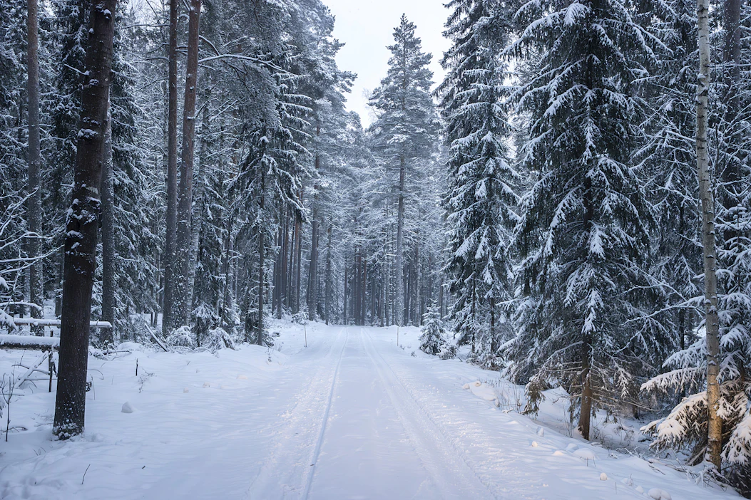 Yksityistien käyttömaksut perustuvat tien arvioituihin käyttömääriin. Mitä enemmän osakas käyttää yksityistietä, sitä enemmän hän maksaa tien hoidosta.