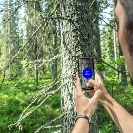 Kännykkäkameran ominaisuudet mahdollistavat metsänmittauksen. Sovelluksella varustettuna se sopii metsäsuunnittelijan ja puunostajan työkaluksi.