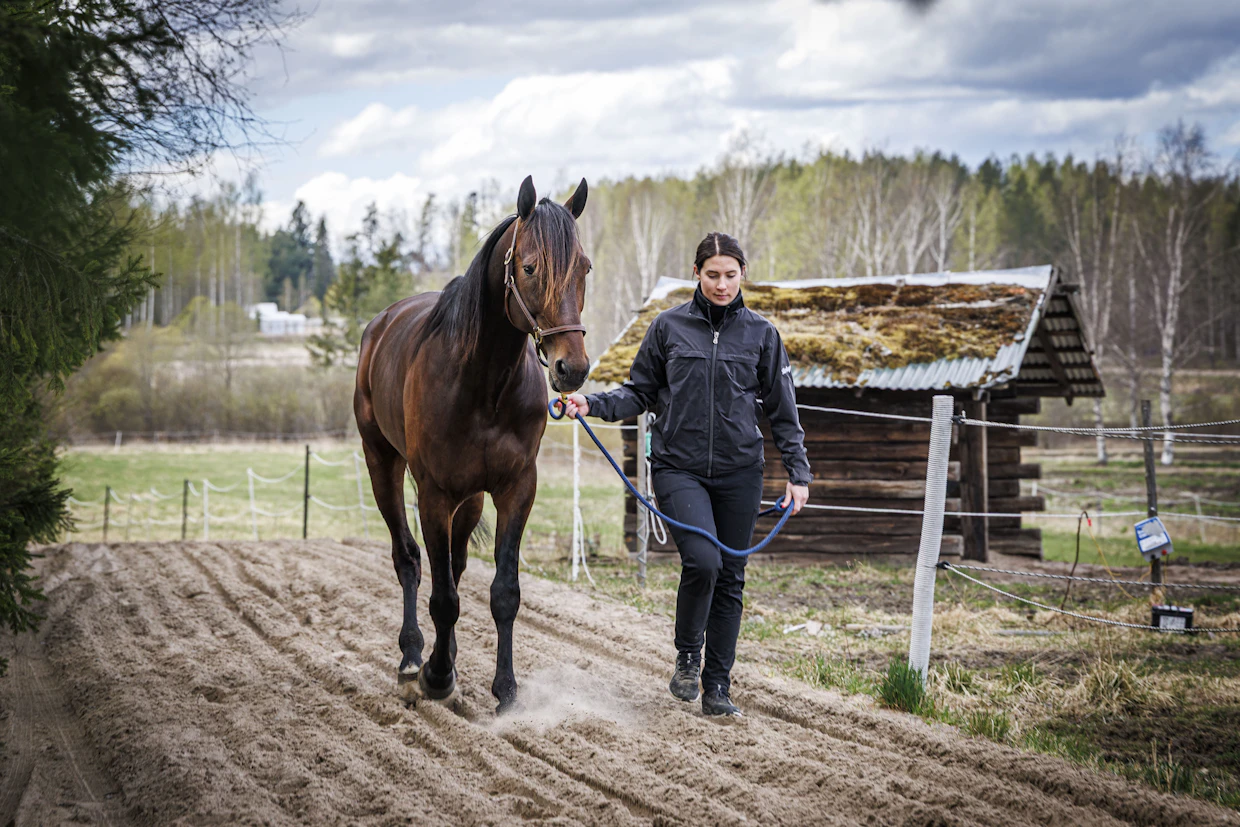 Hanna Lepistön mukaan Diamond Truppo treenaa taas normaalisti ja palaa lähiaikoina tositoimiin.