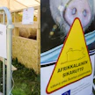 Kuvituskuva Farmarista 2017.