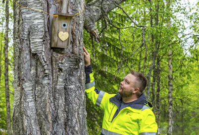 Entinen hakkuukoneenkuljettaja Jori Alasirniö houkuttelee harvinaistuvia hömötiaisia pesimään ripustamiinsa pönttöihin. 