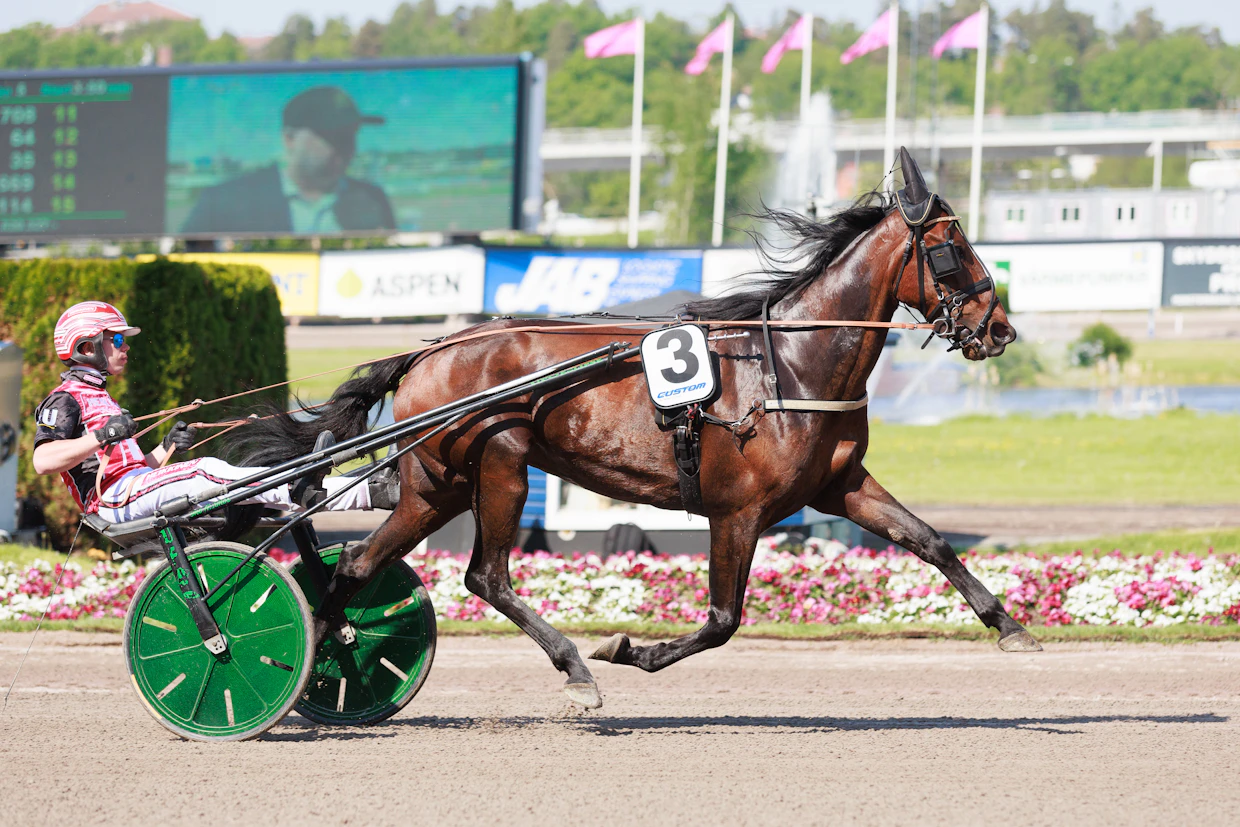 Jennifer Sisu kilpailee Sweden Cupin kolmannessa karsinnassa. Arkistokuvassa rattailla Santtu Raitala, lauantaina ohjissa on Magnus Djuse.