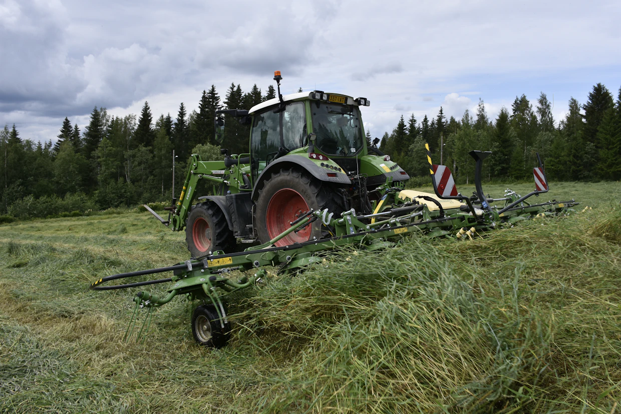 Jyrkimmässä kulmassaan roottoripöyhin heittää heinäkasvustoa reilusti yläviistoon taaksepäin.
