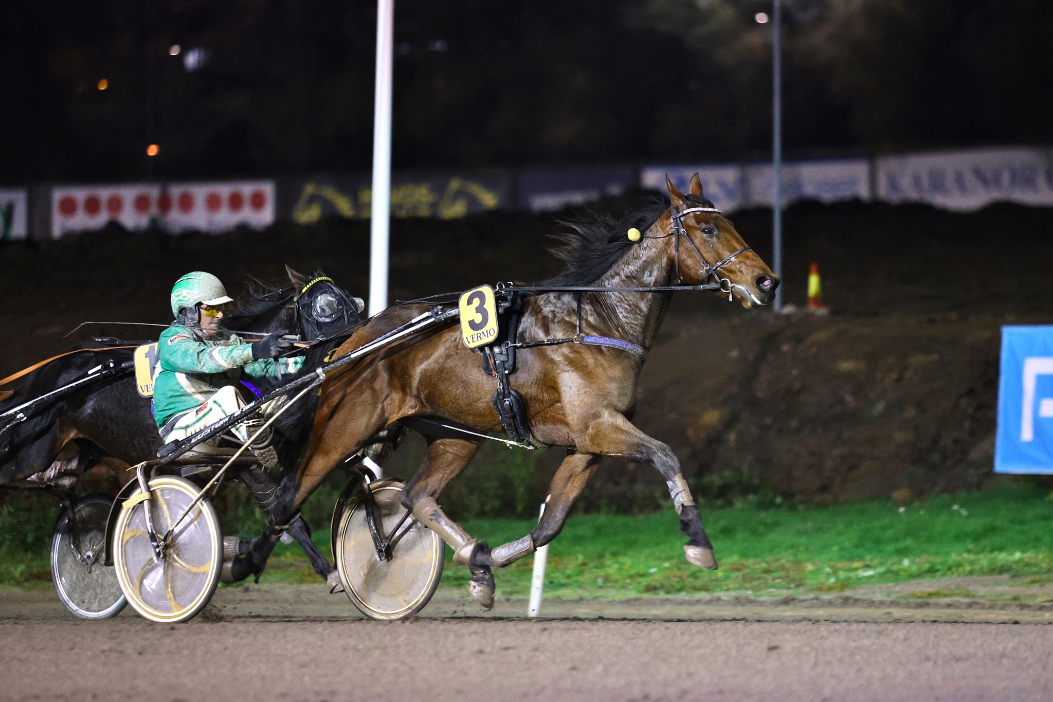 Flaps Out on aloittanut Marinka Salmisen käsistä kahdella voitolla. Ari Moilanen jatkaa ohjissa.