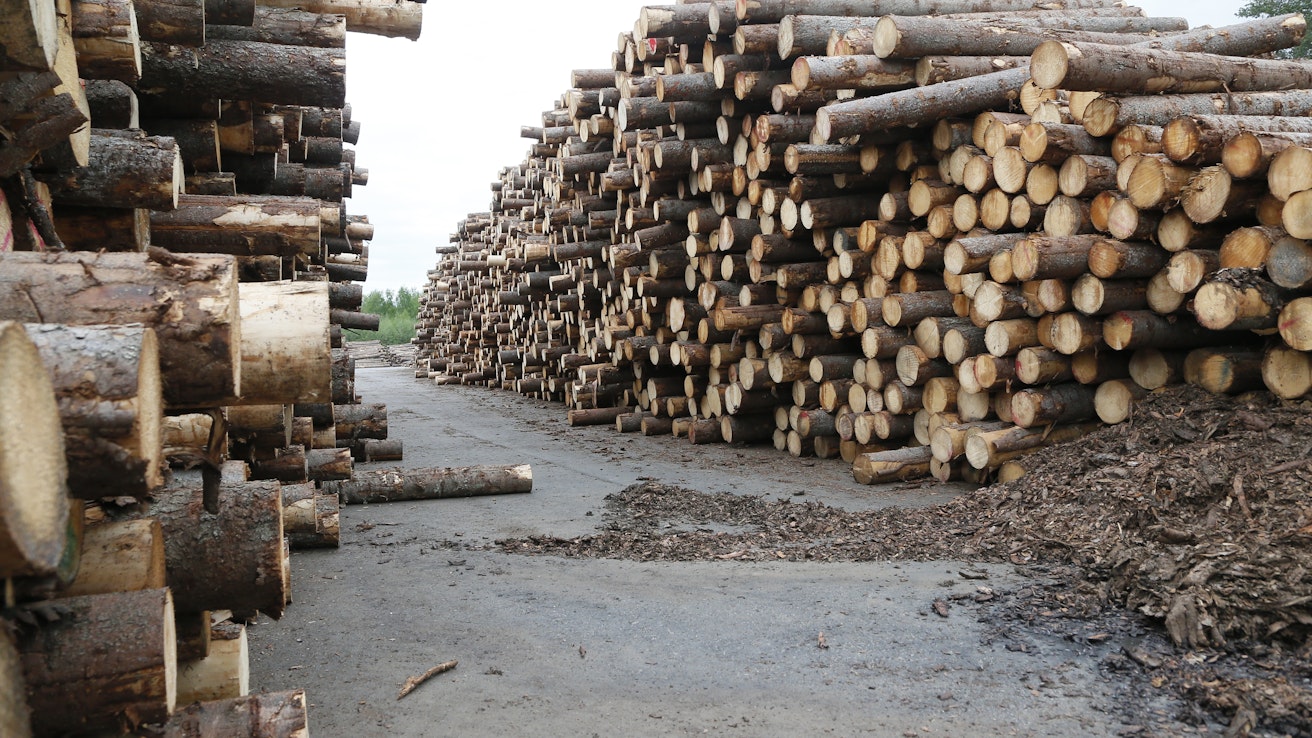 Metsävähennys on puunmyyjälle merkittävä veroetu, jota tulee itse osata vaatia veroilmoituksessa. Metsävähennyksen ansiosta pääomatuloista eli tyypillisesti puukauppatuloista voi vähentää 60 prosenttia, jos tulot ovat peräisin palstalta, joka on ostettu vuoden 1992 jälkeen.