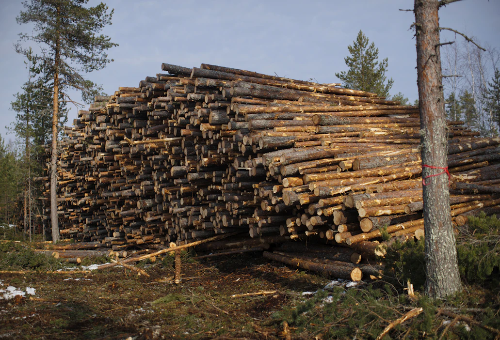 Kuitupuun hakkuut kasvoivat muutamalla prosentilla yli 34 miljoonaan kuutiometriin.