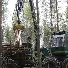 Monenlainen metsä on tehnyt kauppansa, mutta ammattimaiset metsänomistajat edellyttävät tiloiltaan hyviä korjuumahdollisuuksia.