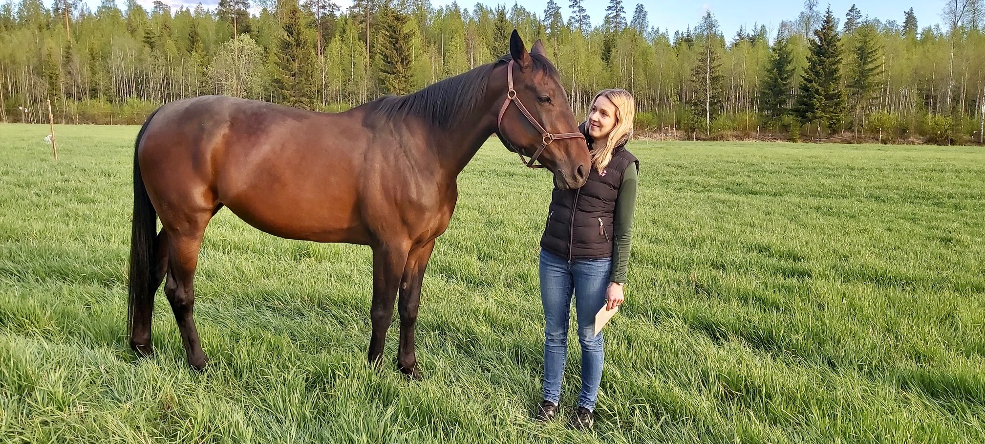 Laidunkauden loppuessa olisi ruokinta-asiantuntija Elena Aution mukaan optimaalista totuttaa hevoset ruokintamuutokseen hitaasti samalla tyylillä kuin laitumelle laskiessa.